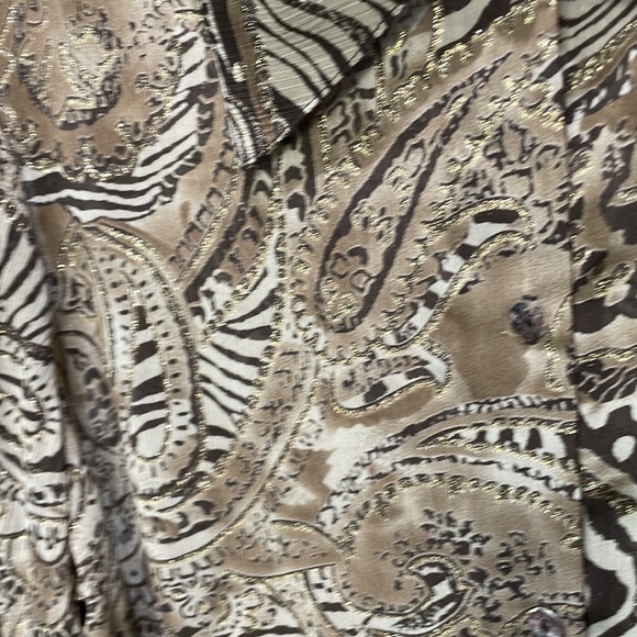 Cydney Mar Sheer Tunic Blouse, Browns with a Touch of Gold, XL, NWOT - Picture 3 of 8